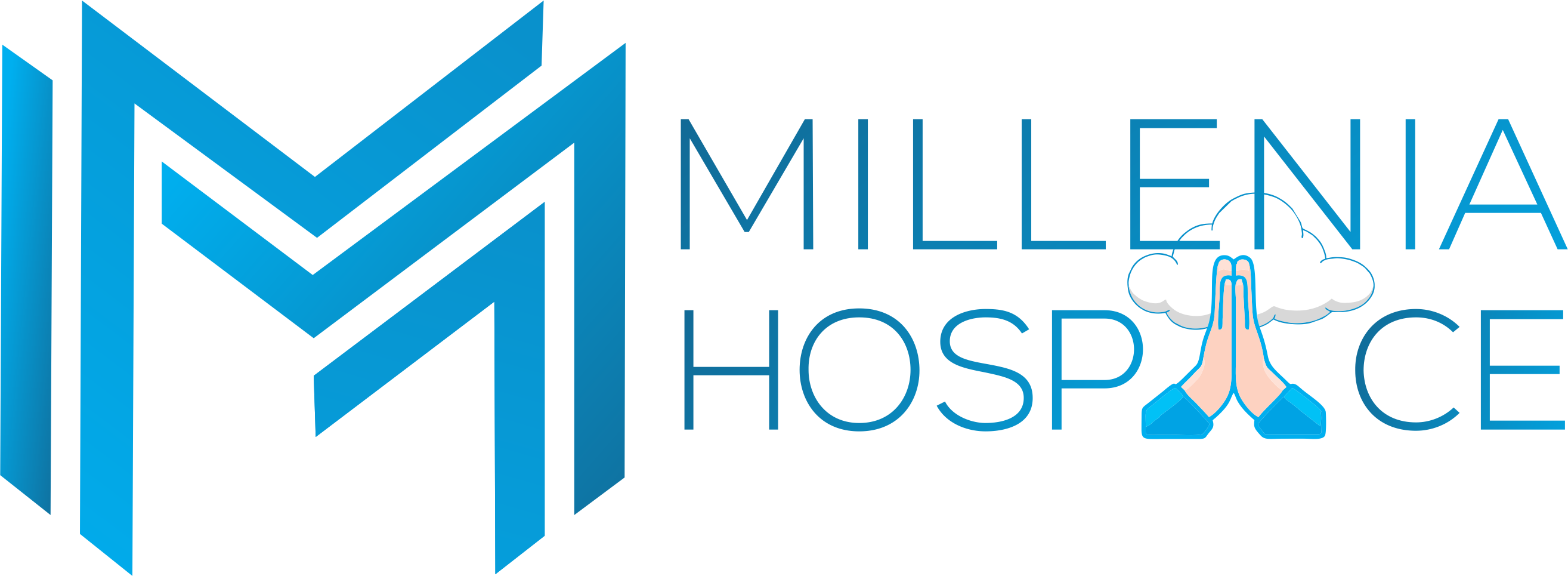 Millenia Hospice